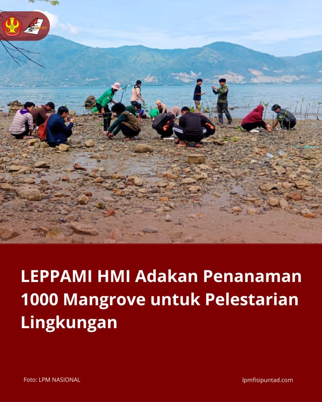 LEPPAMI HMI Adakan Penanaman 1000 Mangrove Untuk Pelestarian Lingkungan